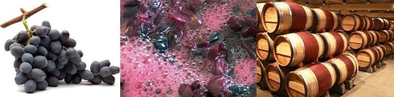 uva, fermentazione, bottaia