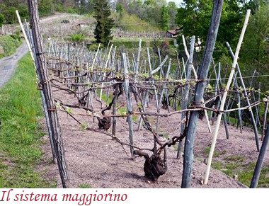 Il sistema maggiorino