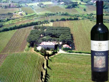 Malvasia Rumon Cantine Zandotti