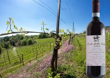 Coste della Sesia Nebbiolo
