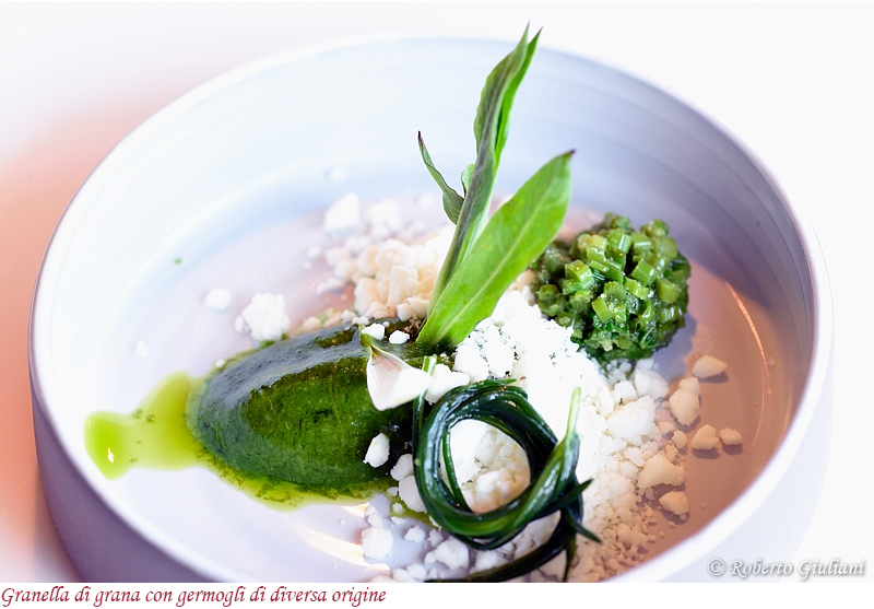 Granella di Grana con germogli di varia origine