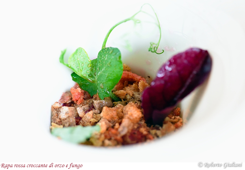 Rapa rossa croccante di orzo e fungo