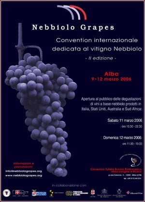 Nebbiolo Grapes - Alba 10-12 marzo 2006