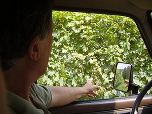 Baldo Cappellano in Jeep