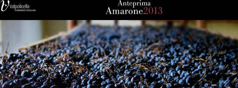 Anteprima Amarone 2013