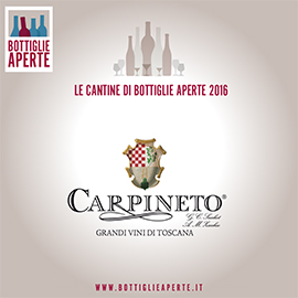 Carpineto