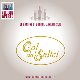 Col dei Salici