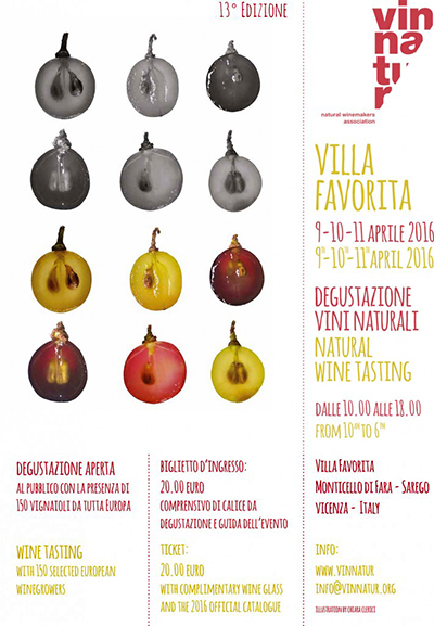 Locandina Villa Favorita 2016