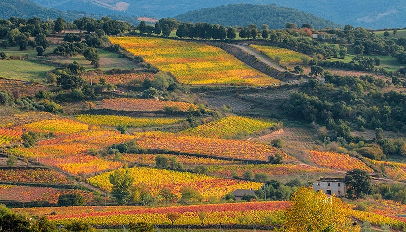 Fotografia di Carlo Marras