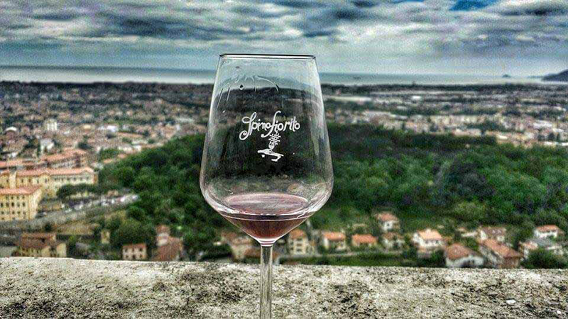 Spino fiorito, calice