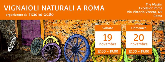 Locandina Vignaioli Naturali a Roma