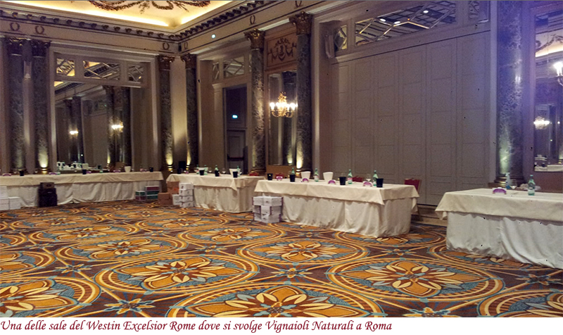 Westin Excelsior Rome Sala vignaioli