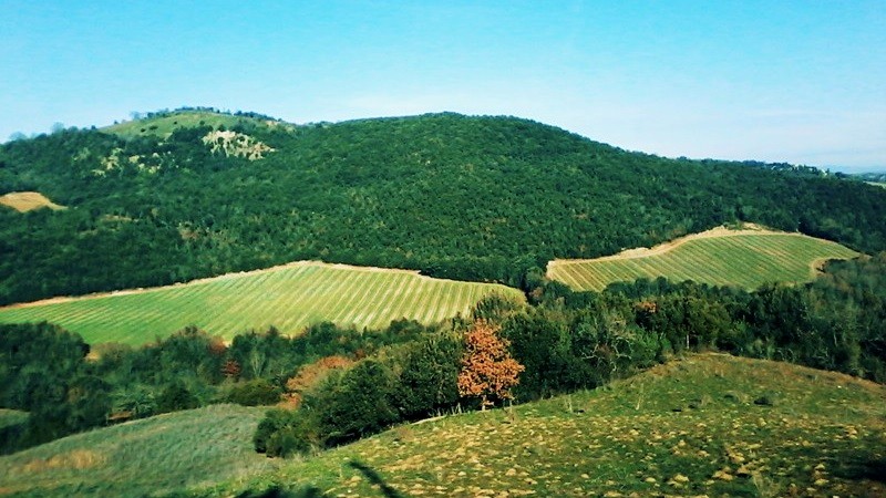 paesaggio montalcinese