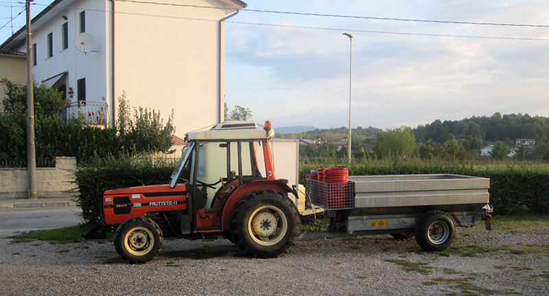 Il carro che trasporterà l'uva raccolta