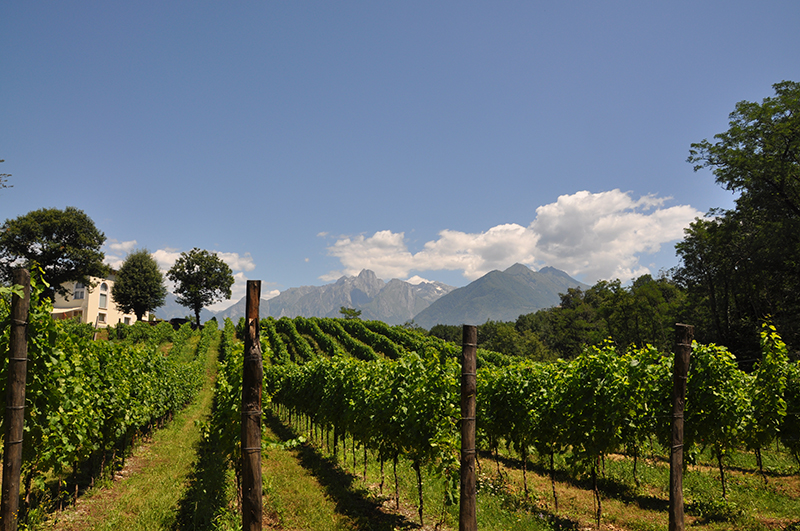 La Tenuta Montecchio a Colico (LC)