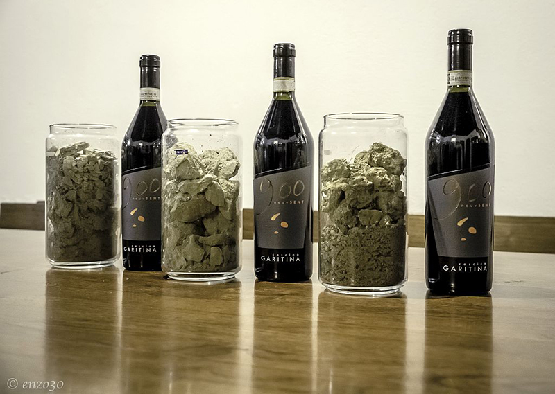 Terreni e botttiglie del Nizza 900 Neuvsent