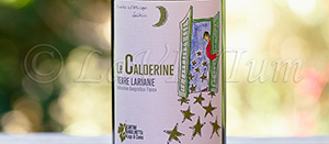 Le Calderine Bianco 2015