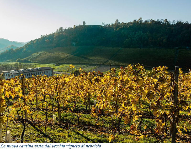La nuova cantina vista dal vecchio vigneto di nebbiolo