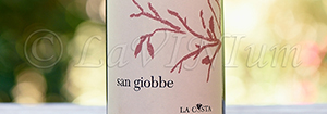 San Giobbe Rosso 2013