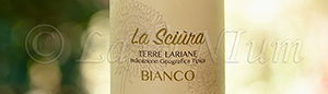 La Sciura Bianco 2015