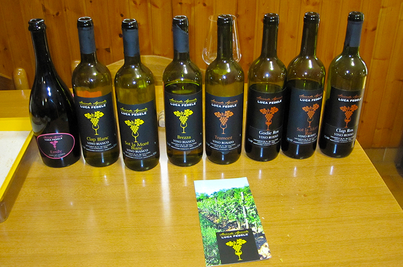 I vini di Luca Fedele