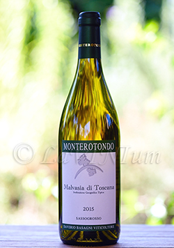 Malvasia di Toscana Sassogrosso 2015
