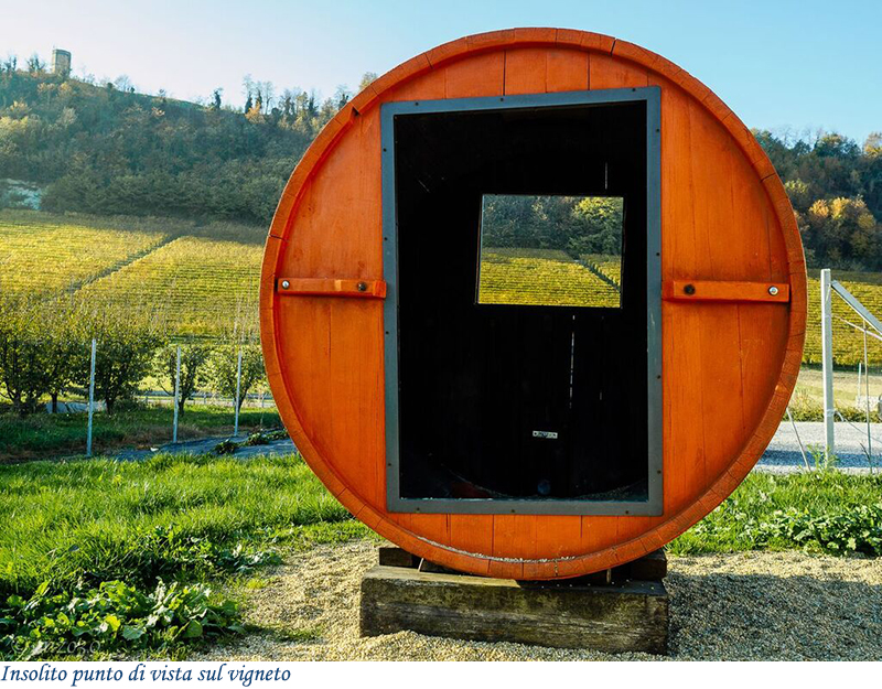 Insolito punto di vista sul vigneto