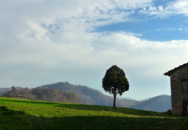 Sacrafamilia - paesaggio