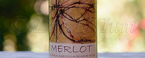 Merlot 2015