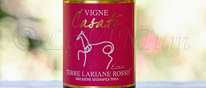 Vigne Casati Merlot 2015