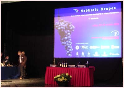 Alba - Nebbiolo Grapes 2006