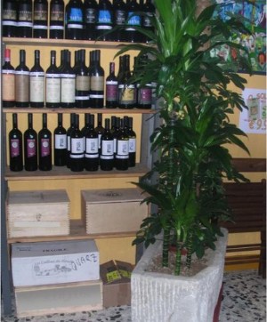 Vendere Vini Veri - Enoteca Vinart&
