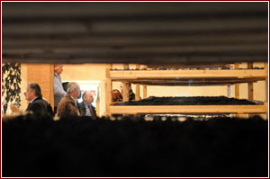 fruttaio presso la Cantina di Negrar