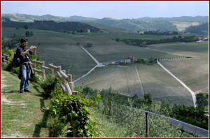 Veduta dei vigneti di Treiso dall'azienda Rizzi