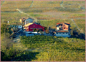 Il Torriglione - azienda Mario Gagliasso