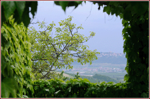 Panorama dall'azienda Cascina delle Rose