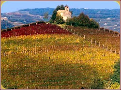 Vigna Cappella di S. Stefano di Perno