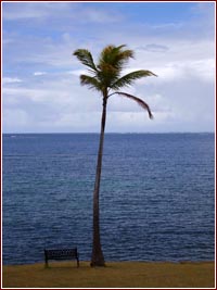 Vista sull'Atlantico