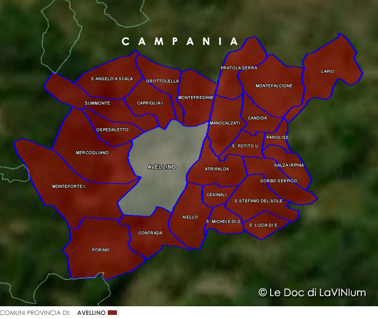Le Doc della Campania: Fiano di Avellino