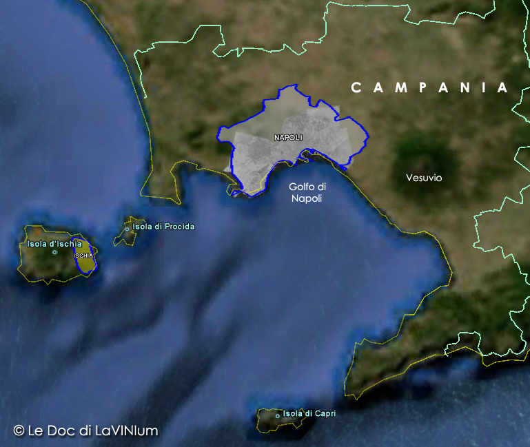 Le Doc della Campania: Ischia