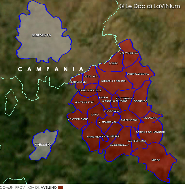 Doc Irpinia, sottozona "Campi Taurasini"
