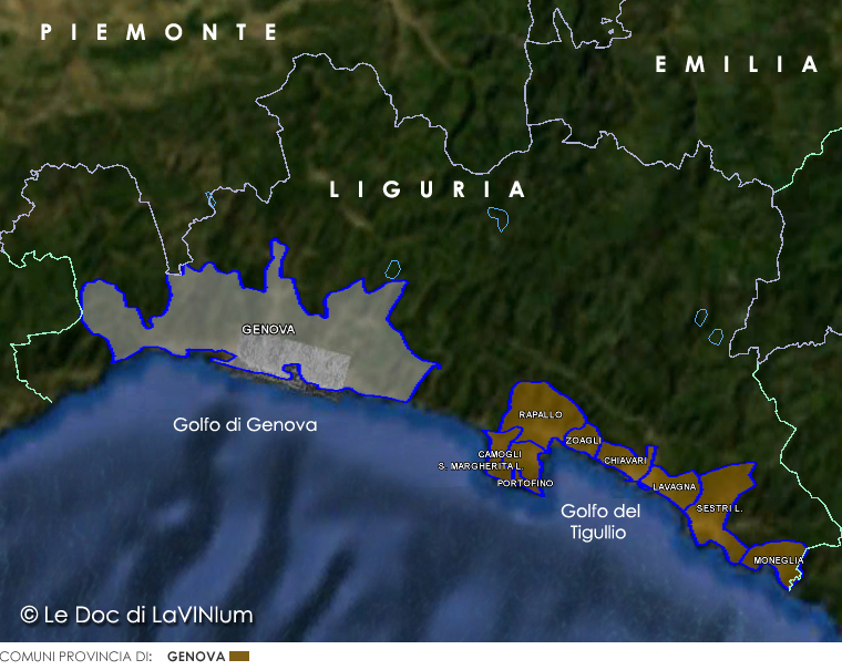Le Doc della Liguria: Golfo del Tigullio-Portofino o Portofino Sottozona Costa dei Fieschi