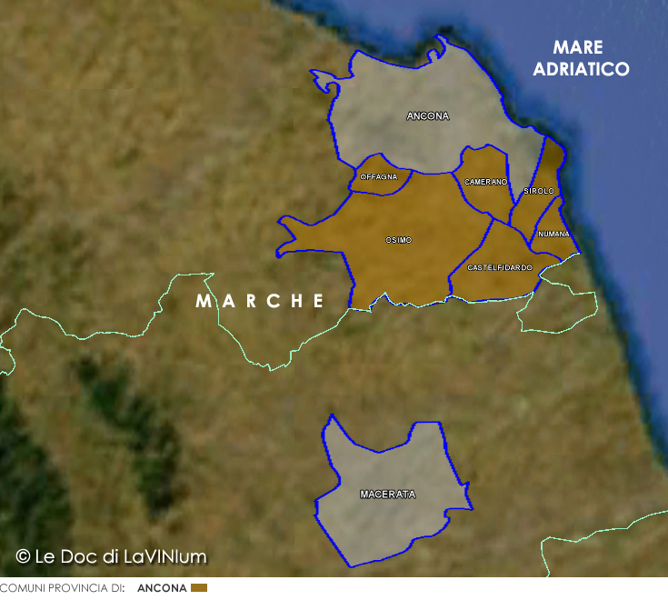 Le DOC delle Marche: Rosso Conero