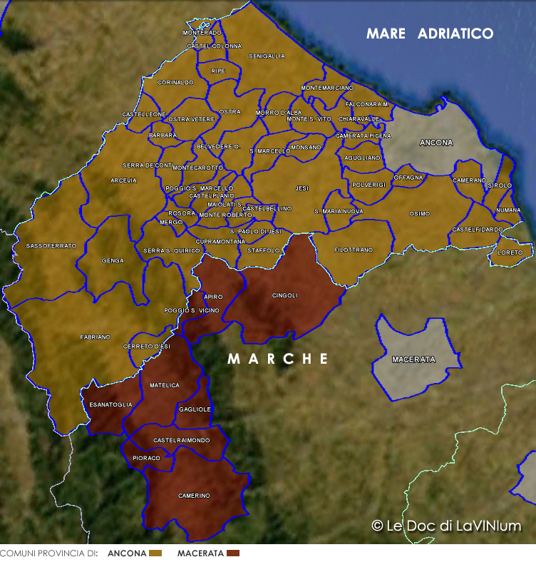 Le DOC delle Marche: Esino