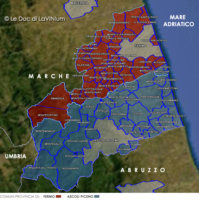 Le DOC delle Marche: Falerio