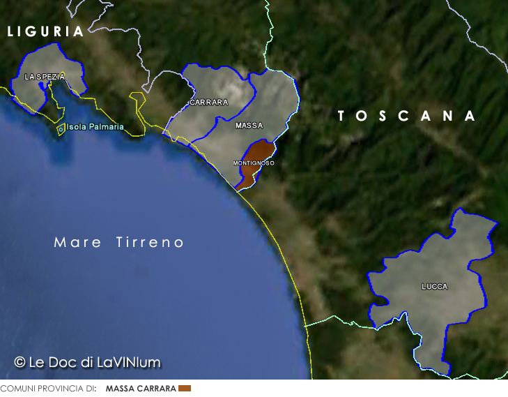 Le Doc della Toscana: Candia dei Colli Apuani