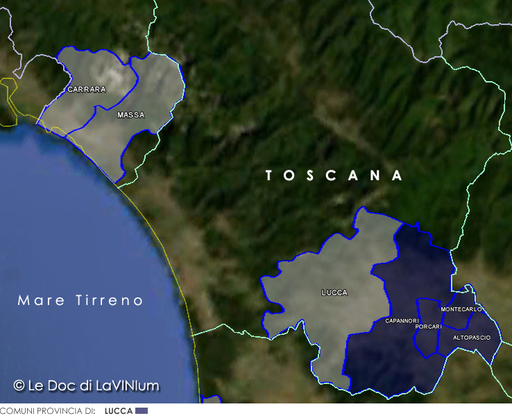 Le Doc della Toscana: Montecarlo