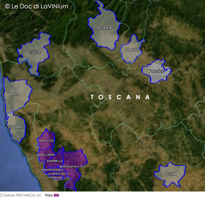 Le Doc della Toscana: Montescudaio