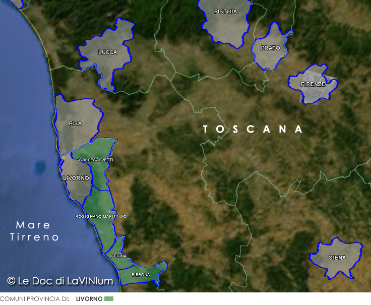 Le Doc della Toscana: Terratico di Bibbona