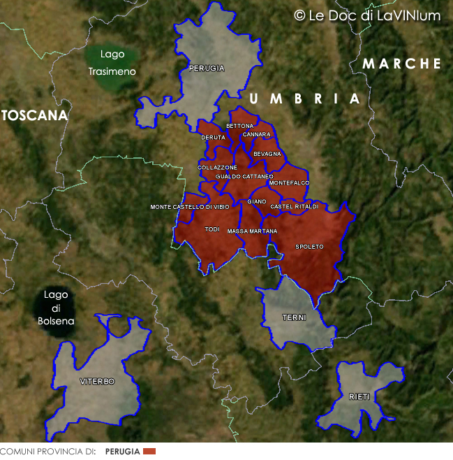 Le Doc dell'Umbria: Colli Martani